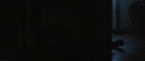 4013.jpg