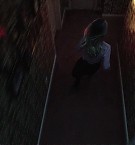 4078.jpg